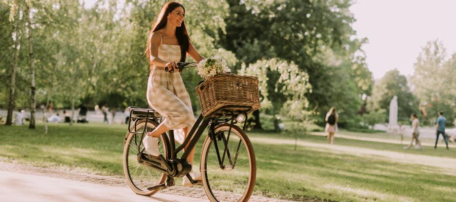 Bild 1 zum Beitrag mit dem Thema: E-Bike Damen