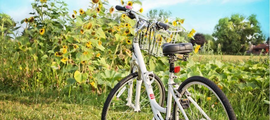 Bild 1 zum Beitrag mit dem Thema: Verkehrssicheres Fahrrad
